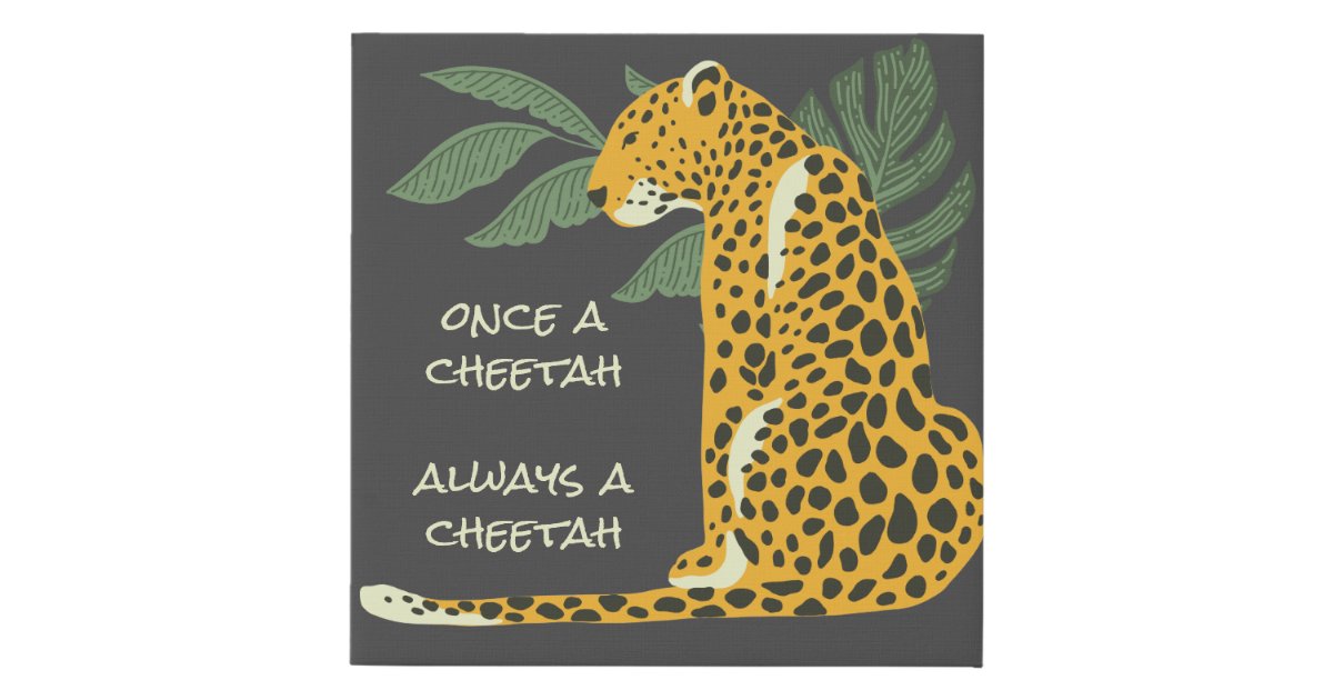 Paparazzi once a cheetah always a cheetah Clearance