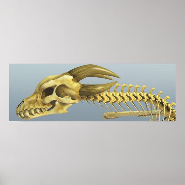 Once A Dragon Poster (Front)