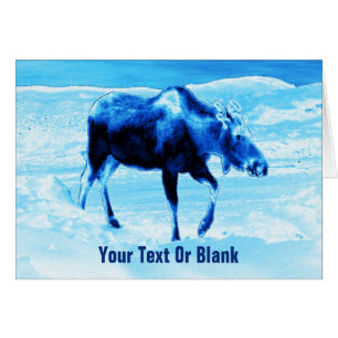 Once In A Blue Moose