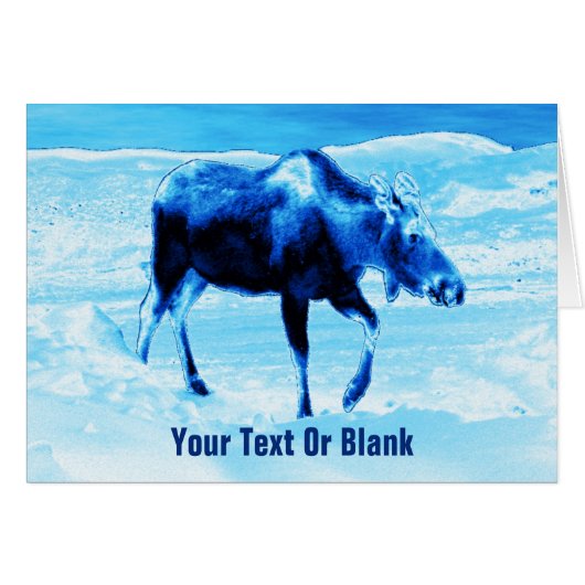 Once In A Blue Moose Cards (Front Horizontal)