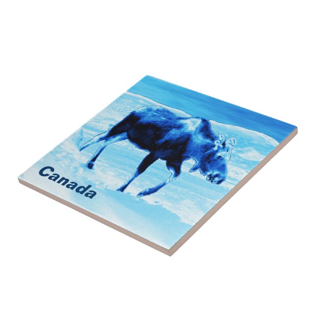 Once In A Blue Moose Ceramic Tile (Side)