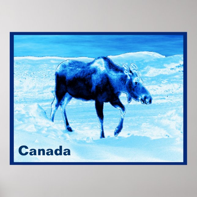 Once In A Blue Moose Poster (Front)
