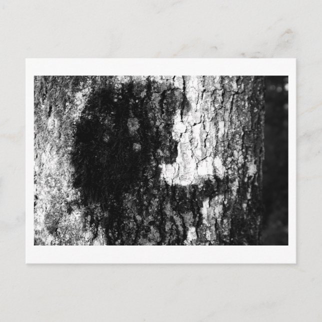 Once upon a time in the woods postcard (Front)