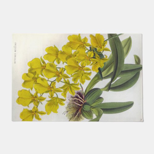 Oncidium Concolor Vintage Lindenia Orchids Doormat