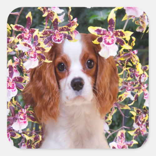 Oncidium Orchids Cavalier King Charles Stickers