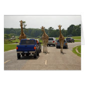 Oncoming Traffic (Front Horizontal)