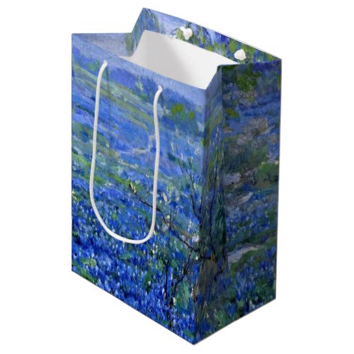 Onderdonk _ Cloudy Day Bluebonnets San Antonio Medium Gift Bag