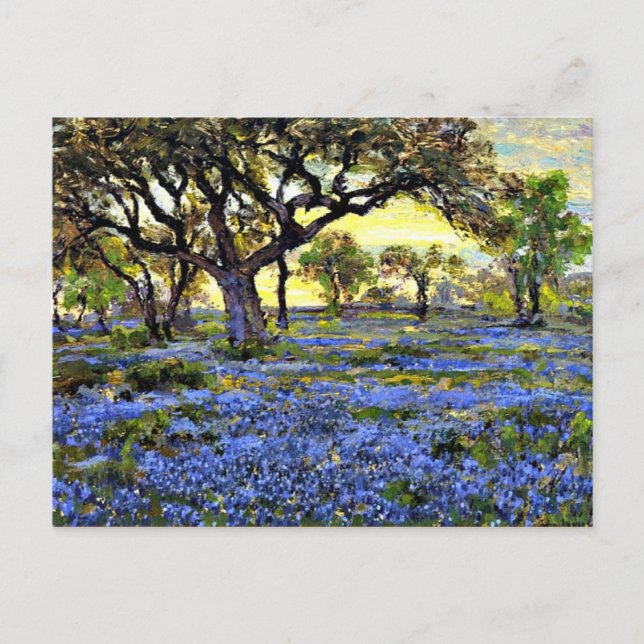 Onderdonk - Old Live Oak Tree and Bluebells Postcard (Front)