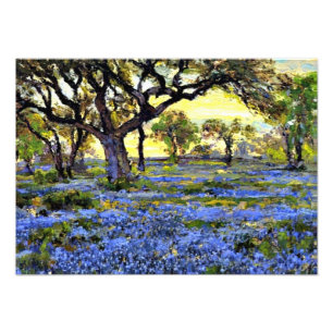 Onderdonk - Old Live Oak Tree and Bluebonnets Photo Print