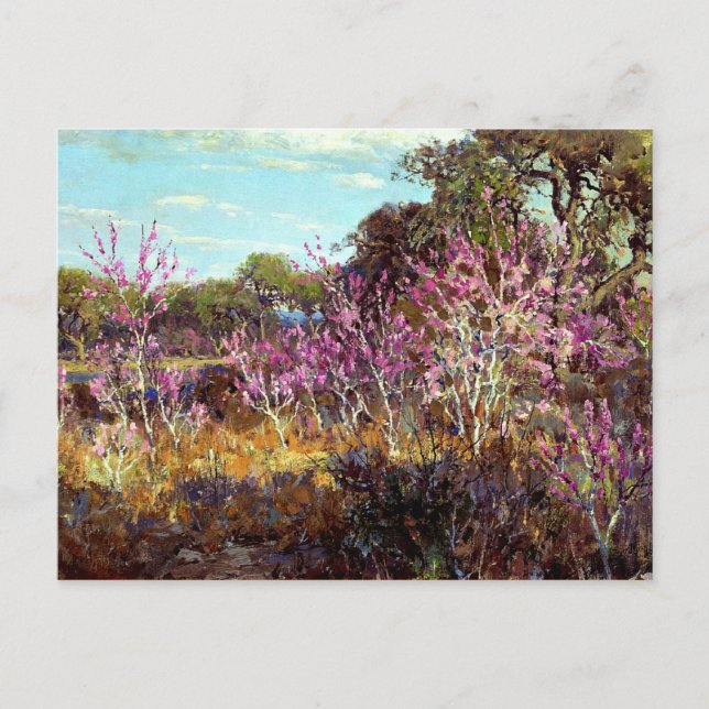 Onderdonk - Rosebud Tree in Bloom at Leon Springs, Postcard (Front)