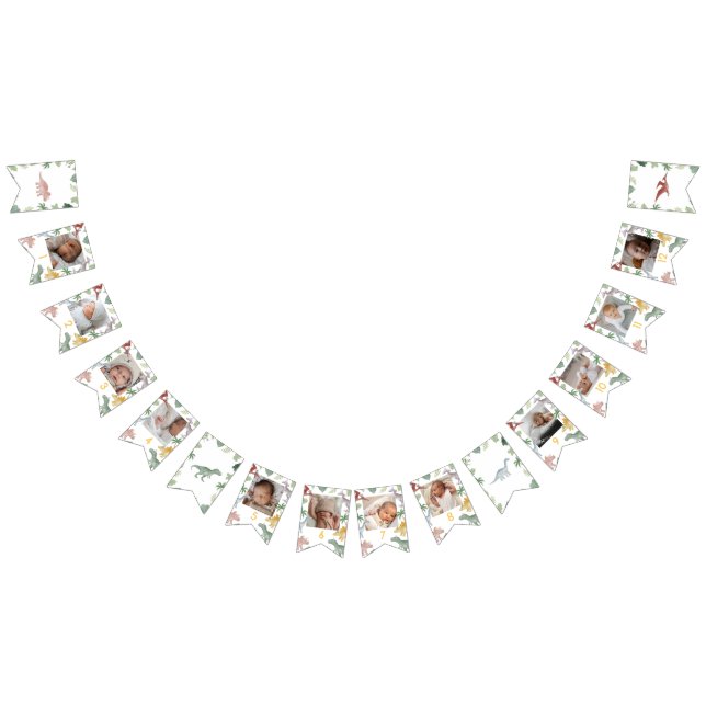 One A Saurus Dinosaur Boy Birthday Photo Banner (All)