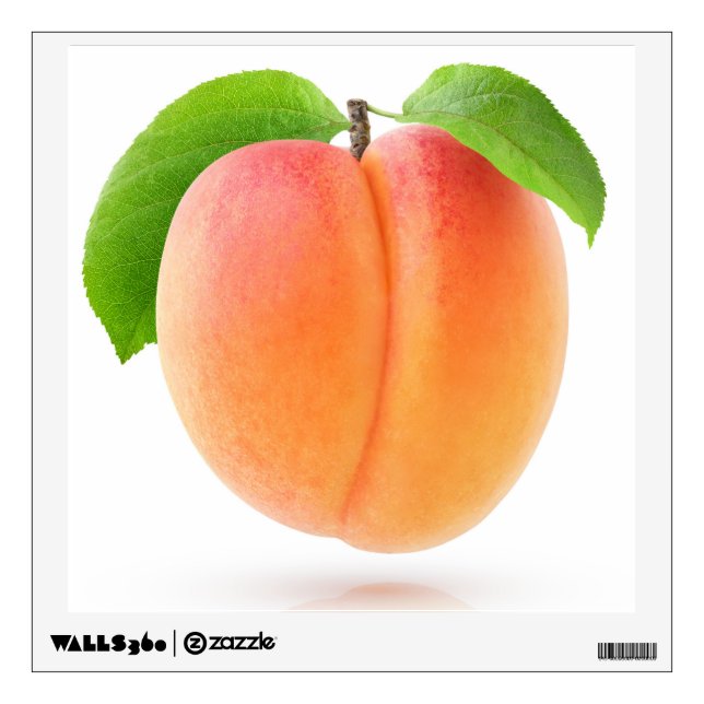 One apricot wall decal (Front)