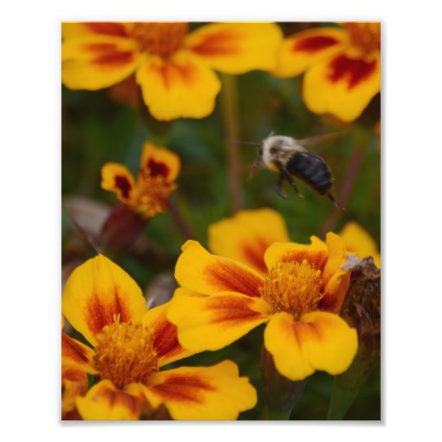 One Autumn Afernoon in the Garden. Photo Print (Front)