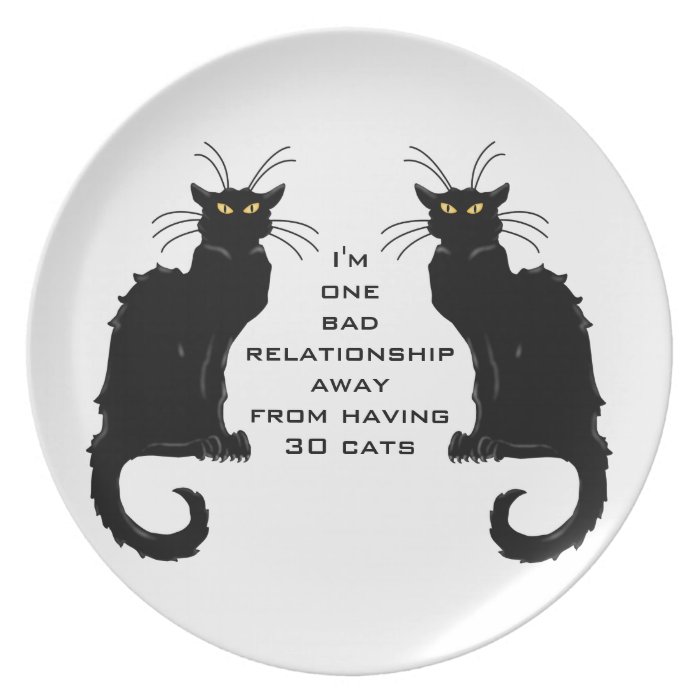 One bad relationship away having 30 cats plate