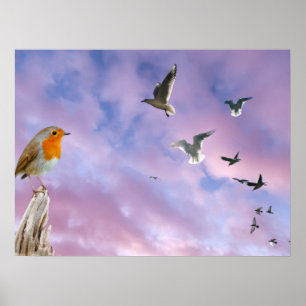 One bird looks at the beautifu sky sunset and flyi poster