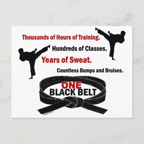 ONE Black Belt 1 KARATE T_SHIRTS  APPAREL Postcard