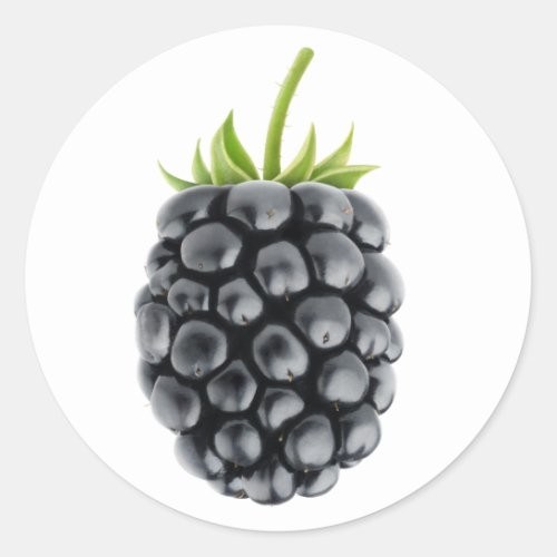 One blackberry classic round sticker