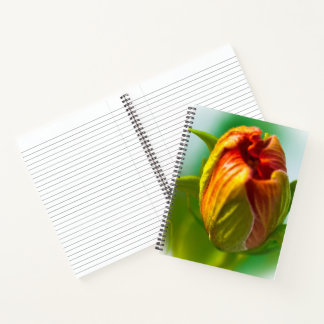One Bud Notebook