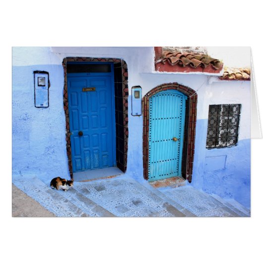 One Cat - Two Blue Moroccan Doors Cards (Front Horizontal)