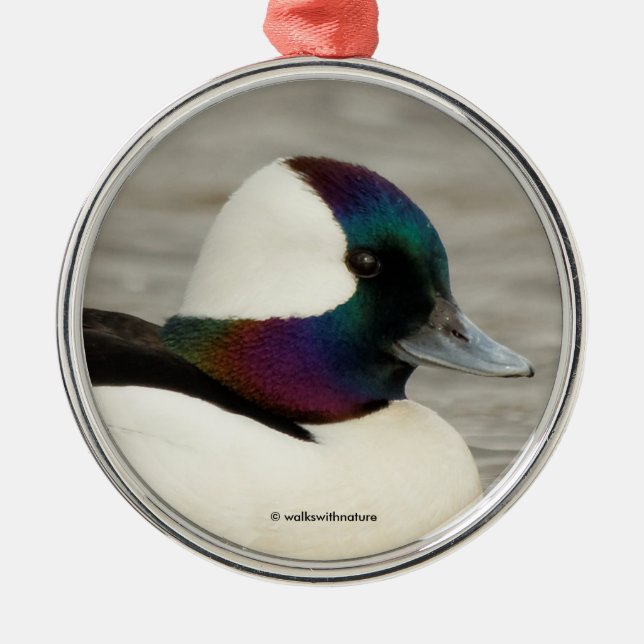 One Curious Bufflehead Metal Ornament (Front)