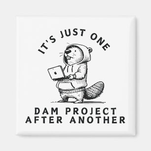 One Dam Project After Another Magnet
