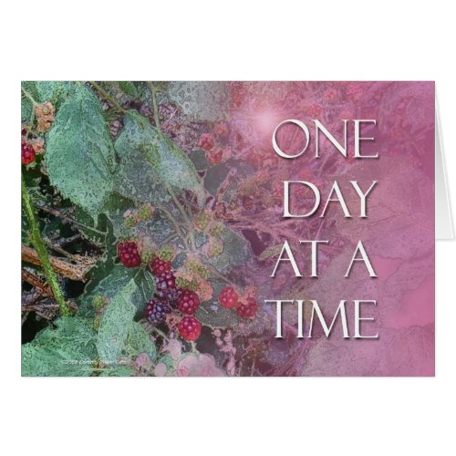 One Day at a Time Blackberries