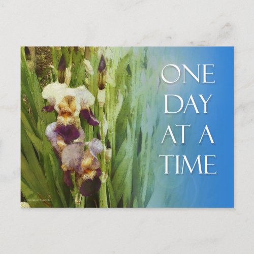 One Day at a Time Iris Postcard