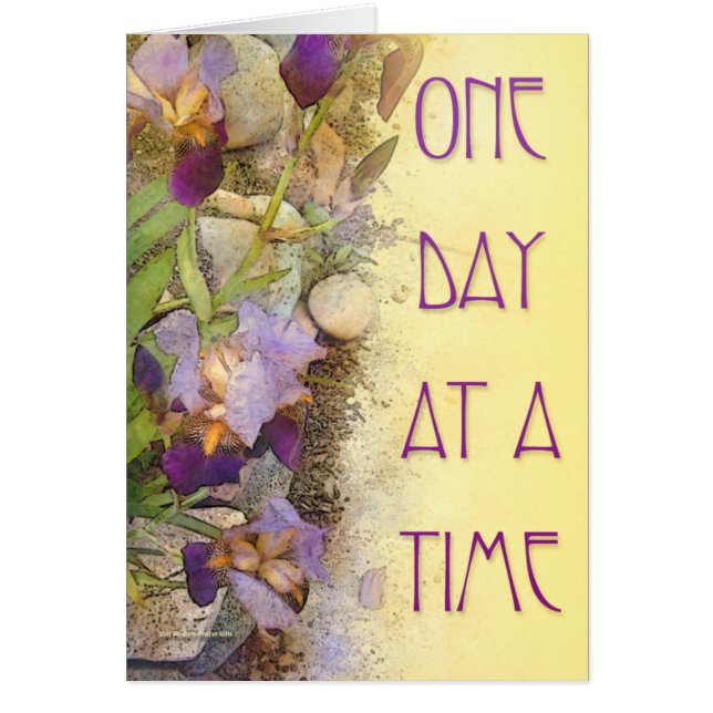 One Day at a Time (ODAT) Irises (Front)