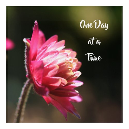 One Day At A Time Quote Flower In Sunlight   Acrylic Print