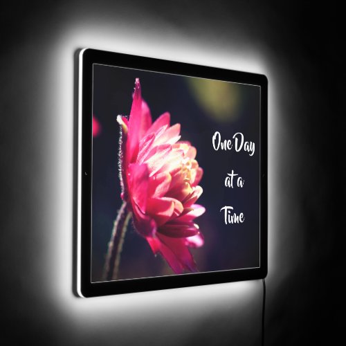 One Day At A Time Quote Flower In Sunlight LED Sign