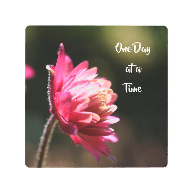 One Day At A Time Quote Flower In Sunlight    Metal Print (Front)