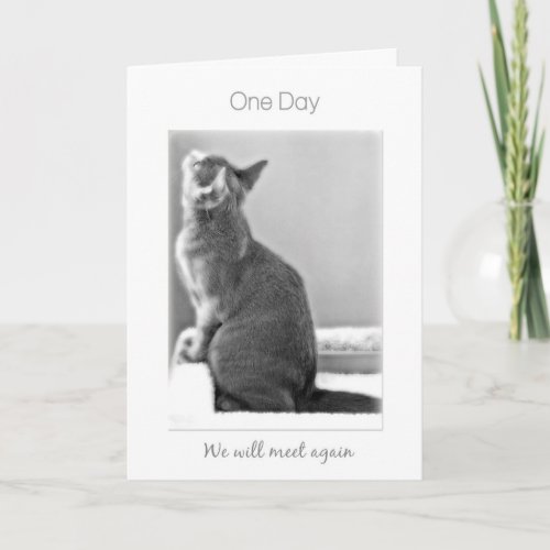 One Day Well meet again cat sympathy Card