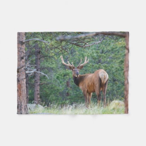 One Elk Looking Back  Rocky Mountains Fleece Blanket