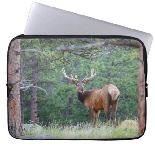 One Elk Looking Back  Rocky Mountains Laptop Sleeve