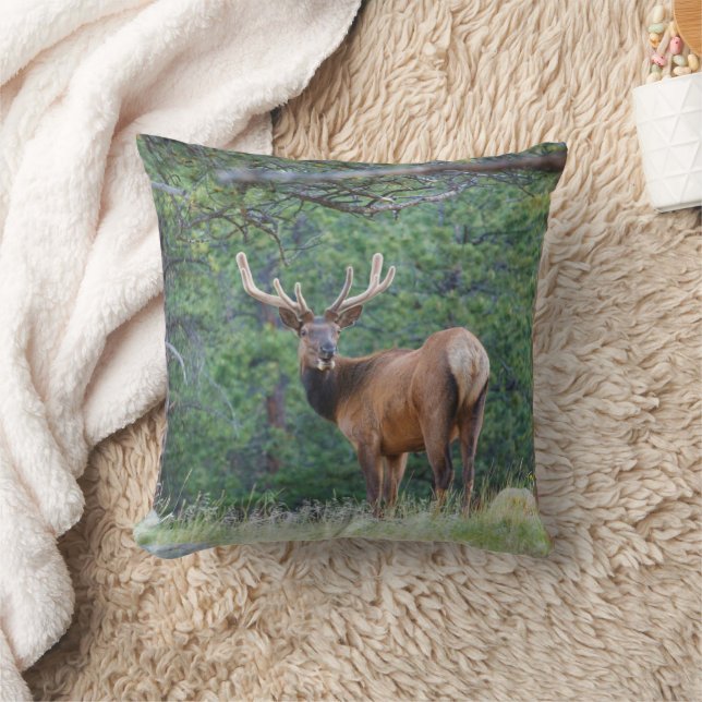One Elk Looking Back | Rocky Mountains Throw Pillow (Blanket)
