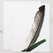 One Feather (Front/Back)