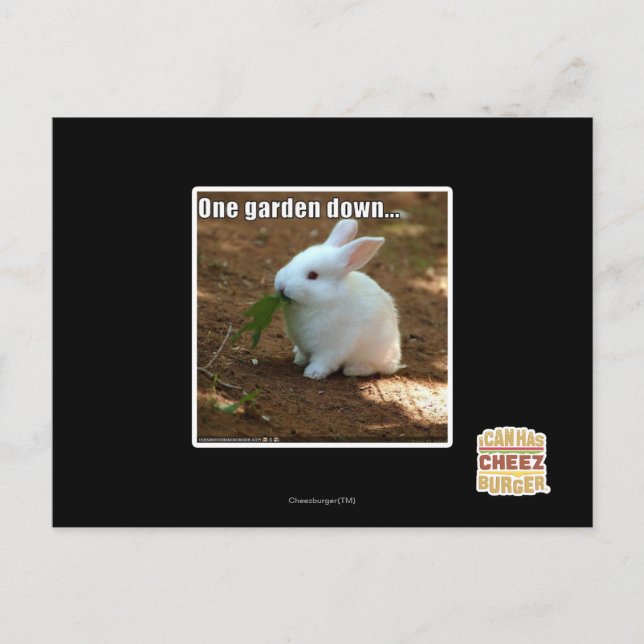 One Garden Down� Postcard (Front)