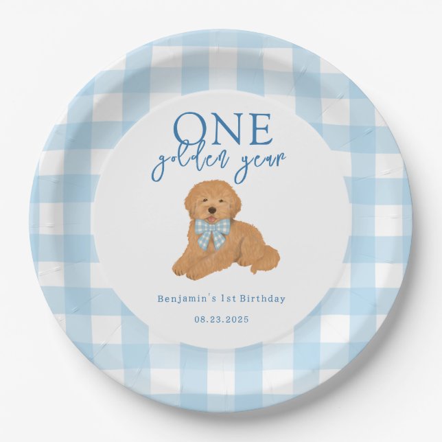 One Golden Year Golden Doodle Boys Birthday Paper Plates (Front)
