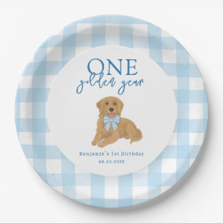 One Golden Year Golden Retriever Boys Birthday Paper Plates