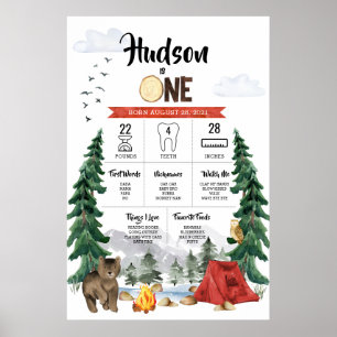 One Happy Camper 1st Birthday Milestone Poster