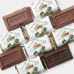 One Happy Camper First Birthday  Hershey's Miniatures