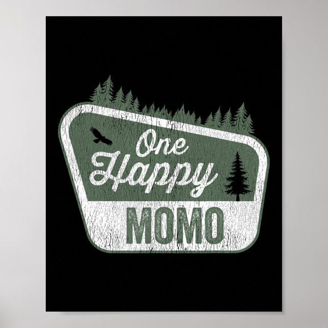 One Happy Momo Matching Family Birthday Party Camp Poster (Front)