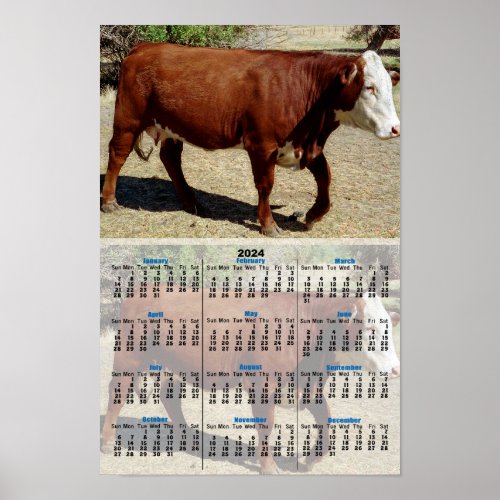 One Heifer Cow 2024 Calendar Poster