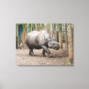 One horned rhino animal canvas print