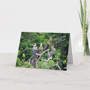One In A Crowd - Anhinga Family Greeting Card by CatsEyeViewGifts at Zazzle