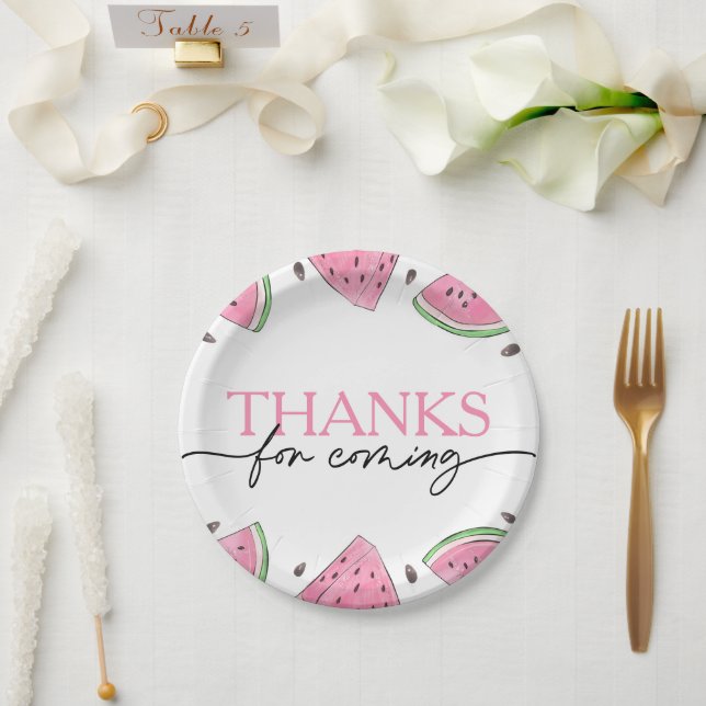 One In A Melon 1st Birthday Watermelon Birthday Paper Plates (Wedding)