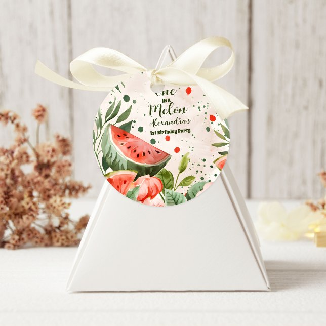 'One in a Melon' Cute Watermelon Girl 1st Birthday Classic Round Sticker (Creator Uploaded)