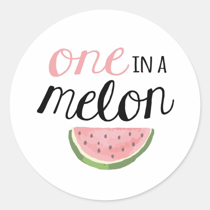 One in a Melon Stickers Set of 20
