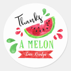 One In A Melon First Birthday Thank You Classic Round Sticker