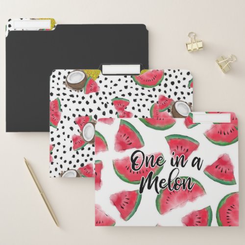 One in a Melon Quote Watermelon Watercolor Pattern File Folder
